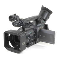 Preview: Panasonic AG-DVX100A