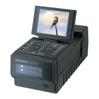 Preview: Panasonic AG-HPG10P