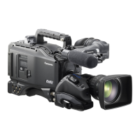 Preview: Panasonic AJ-HPX2000