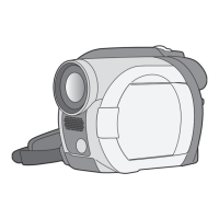 Preview: Panasonic Palmcorder VDR-D100