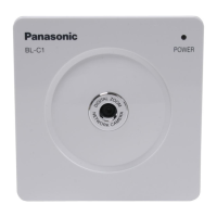 Preview: Panasonic BL-C1