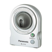 Preview: Panasonic BL-C10