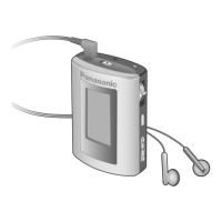 Preview: Panasonic SV-MP21V