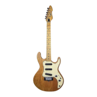 Preview: Peavey T-30