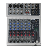 Preview: Peavey PV 8