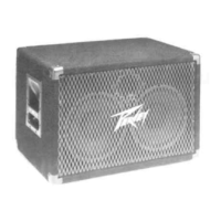 Preview: Peavey 210 TX