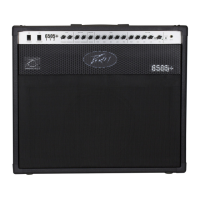 Preview: Peavey 6505