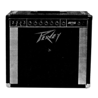 Preview: Peavey Artist 240