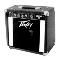 Preview: Peavey BACKSTAGE 30