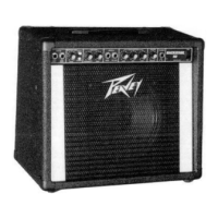 Preview: Peavey BACKSTAGE 50