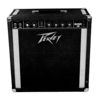 Preview: Peavey BASIC 40