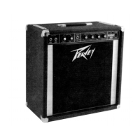 Preview: Peavey BASIC 50