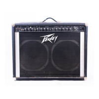 Preview: Peavey Classic Chorus 130