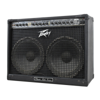 Preview: Peavey Duel 212