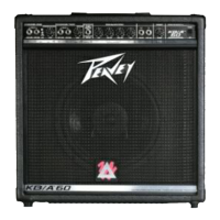 Preview: Peavey KB/A 60