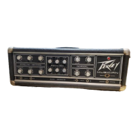 Preview: Peavey Mark III Series Musician