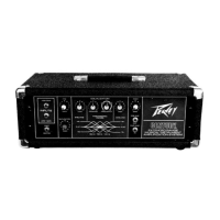 Preview: Peavey The Century