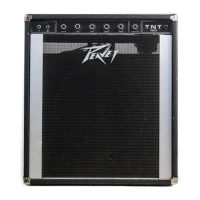 Preview: Peavey TNT 100