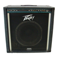 Preview: Peavey TNT 160