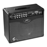 Preview: Peavey Triple 40/EFX