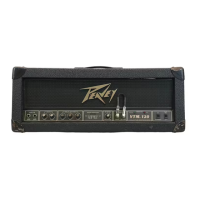 Preview: Peavey VTM-120