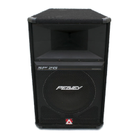 Preview: Peavey SP 2G