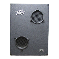 Preview: Peavey RBS 1