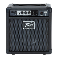 Preview: Peavey 112