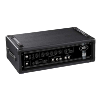Preview: Peavey Max 450