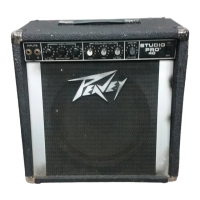 Preview: Peavey StudioPro 40