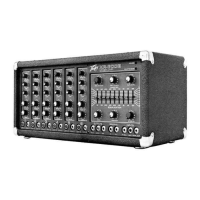 Preview: Peavey XR-600B