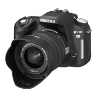 Preview: Pentax K110D