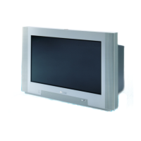 Preview: Philips 32PW9525/XXLNICAM