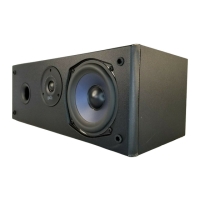 Preview: Polk Audio CS175I