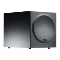 Preview: Polk Audio PSW250