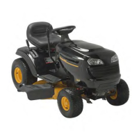 Preview: Poulan Pro 96042008800
