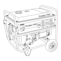 Preview: Poulan Pro PPG 6000