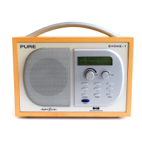 Preview: Pure Digital EVOKE 1XT