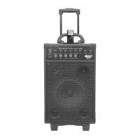 Preview: Pyle PWMA1080I