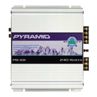 Preview: Pyramid PB-101