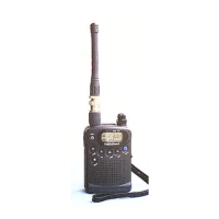 Preview: Radio Shack HTX-200