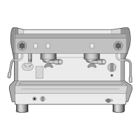 Preview: Rancilio S20