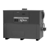 Preview: Raypak HI DELTA 302B