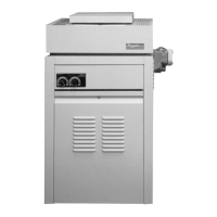 Preview: Raypak VERSA 185B