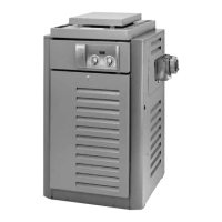 Preview: Raypak R185