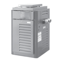 Preview: Raypak R265B