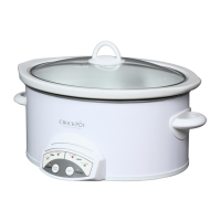 Preview: Rival Crock-Pot 3845