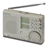 Preview: Analogue World Radio R9968