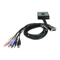 Preview: Rosewill RKV-2DVI