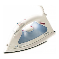 Preview: Rowenta P2 Professional